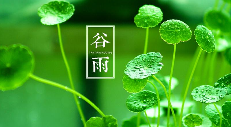 谷雨节气 | 雨生百谷，万物可期！